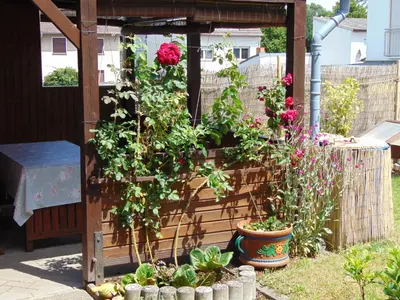 Ein Garten an der Unterkunft Ferienwohnung Astor zwischen Rhein und Mosel