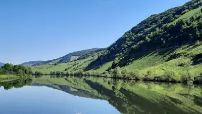 Naturlandschaft in der Nähe der Ferienwohnung