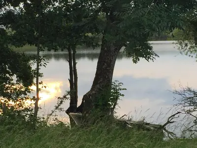 Naturlandschaft in der Nähe des Ferienhauses