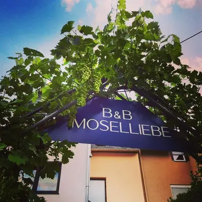 Ein Zertifikat, Auszeichnung, Logo oder anderes Dokument, das in der Unterkunft App 4 Pers 2 Schlafzimmer mit eigenen Badezimmer 2 Balkonen alle mit Moselblick ausgestellt ist
