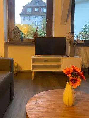 TV/Unterhaltungsangebot in der Unterkunft Ferienwohnung Bienengarten