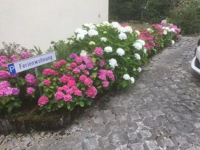 Ein Garten an der Unterkunft Ferienwohnung Sponheim