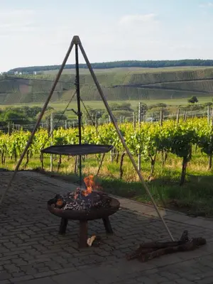 Grundriss der Unterkunft Weingut & Gästehaus Andreas Erz