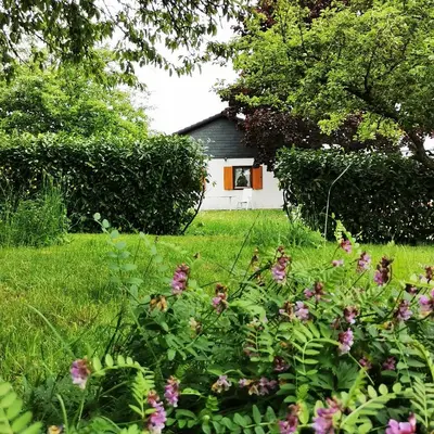 Ein Garten an der Unterkunft BB19 Eifel-Ferienhaus am Moseltal mit Saunahaus