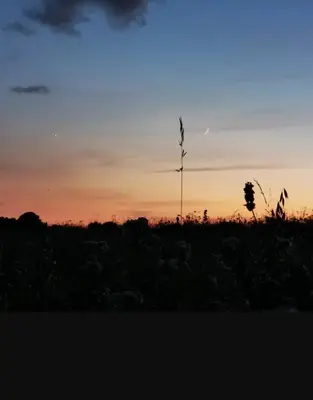 Blick auf den Sonnenuntergang/Sonnenaufgang von des Ferienhauses aus oder aus der Nähe