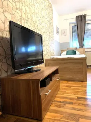 TV/Unterhaltungsangebot in der Unterkunft Ferienwohnung in Binger Stadtmitte