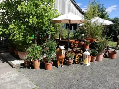 Ein Garten an der Unterkunft Zurück zur Natur - Urlaub im Zirkuswagen, Sommeratelier oder Schindelwagen
