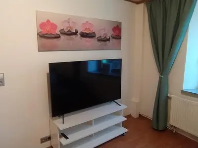 TV/Unterhaltungsangebot in der Unterkunft Ferienwohnung an der Ruwer, Trier