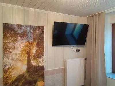 TV/Unterhaltungsangebot in der Unterkunft Ferienwohnung an der Ruwer, Trier