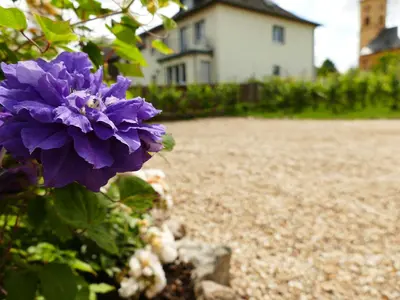 Ein Garten an der Unterkunft Ines