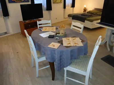 TV/Unterhaltungsangebot in der Unterkunft Appartement 45 qm mit Bad an der Mosel - Nähe Koblenz