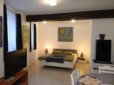 TV/Unterhaltungsangebot in der Unterkunft Appartement 45 qm mit Bad an der Mosel - Nähe Koblenz