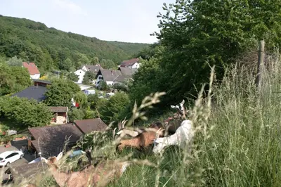 Naturlandschaft in der Nähe der Ferienwohnung