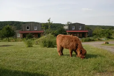Tiere in der Ferienwohnung oder in der Nähe