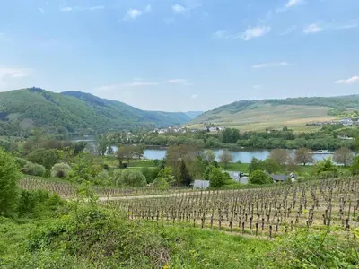 Naturlandschaft in der Nähe der Ferienwohnung