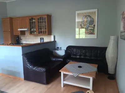 Küche/Küchenzeile in der Unterkunft Ferienwohnung Mattheiser Weiher