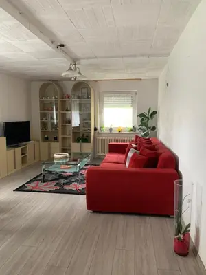 TV/Unterhaltungsangebot in der Unterkunft Birgeler Home