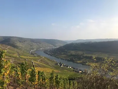 Naturlandschaft in der Nähe der Ferienwohnung