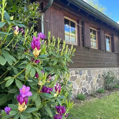 Blockhütte Engeln-Eifel