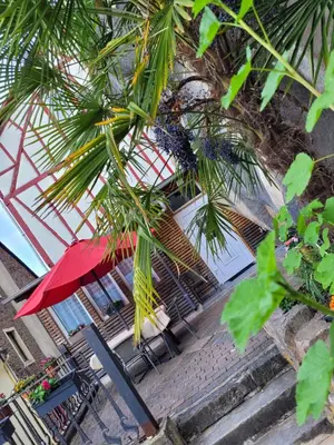 Ein Garten an der Unterkunft Ferienhaus Larina