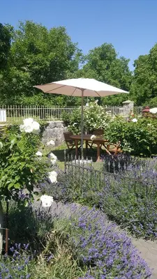 Ein Garten an der Unterkunft Ferienwohnung Altes Pfarrhaus mit Flair und Jufferblick