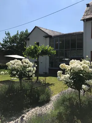 Ein Garten an der Unterkunft Ferienwohnung Altes Pfarrhaus mit Flair und Jufferblick