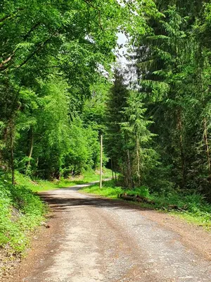 Naturlandschaft in der Nähe des Ferienhauses
