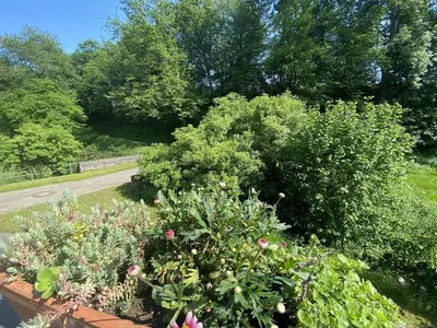 Ein Garten an der Unterkunft Ferienwohnung im Brohlbachtal