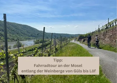 Naturlandschaft in der Nähe der Ferienwohnung