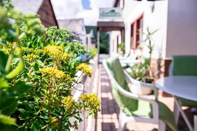 Ein Garten an der Unterkunft Gasthaus Tannenhof