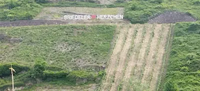 Naturlandschaft in der Nähe der Ferienwohnung