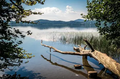 Naturlandschaft in der Nähe des Ferienhauses