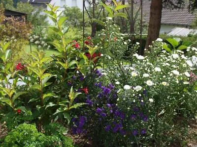 Ein Garten an der Unterkunft Ferienwohnung Zauberhaft