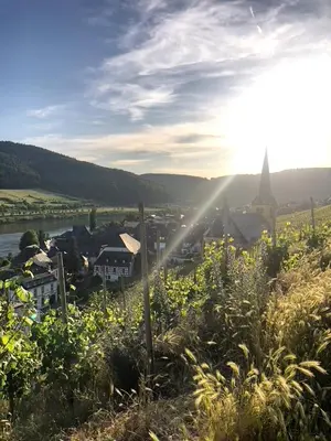 Naturlandschaft in der Nähe der Ferienwohnung