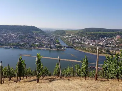 Naturlandschaft in der Nähe der Ferienwohnung