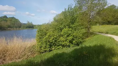 Naturlandschaft in der Nähe der Ferienwohnung