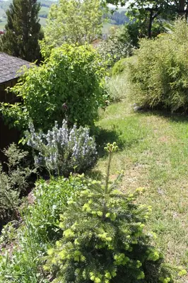 Ein Garten an der Unterkunft Ferienwohnung Siegel
