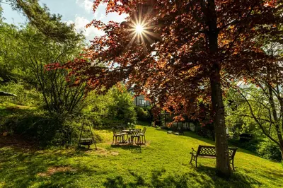 Ein Garten an der Unterkunft Blockhaus Eifelsteig w/ Kamin Garten & Feuerstelle