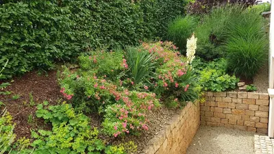 Ein Garten an der Unterkunft Art of living Mosel