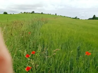 Naturlandschaft in der Nähe des Ferienhauses