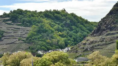 Naturlandschaft in der Nähe der Ferienwohnung