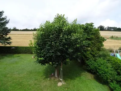 Ein Garten an der Unterkunft Fewo Lena