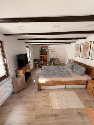 TV/Unterhaltungsangebot in der Unterkunft Charmantes denkmalgeschütztes Tiny House am Rhein