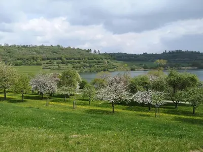 Naturlandschaft in der Nähe der Ferienwohnung