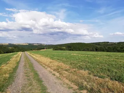 Naturlandschaft in der Nähe der Ferienwohnung