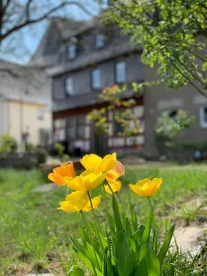 Ein Garten an der Unterkunft Altes Zehnthaus Geierlay