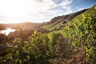 Naturlandschaft in der Nähe der Ferienwohnung