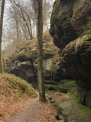 Naturlandschaft in der Nähe der Ferienwohnung