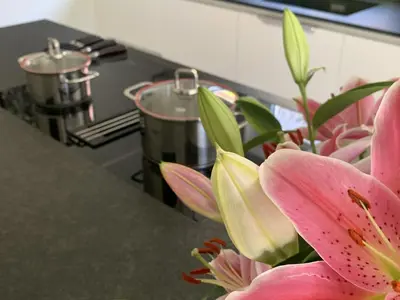 Grundriss der Unterkunft Haus Astrid