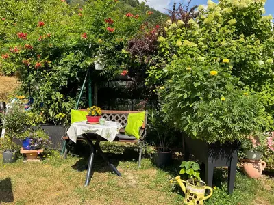 Ein Garten an der Unterkunft Landhaus Zum Langenstein